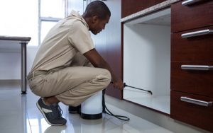 Benefits Of Choosing Professional Pest Control Company