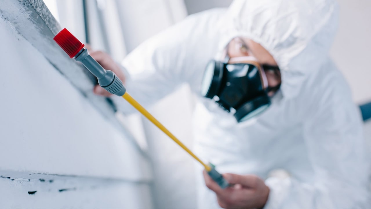 Pest Exterminator Spraying Pesticides Under A Window Sill, Exterminating Pests On Contact
