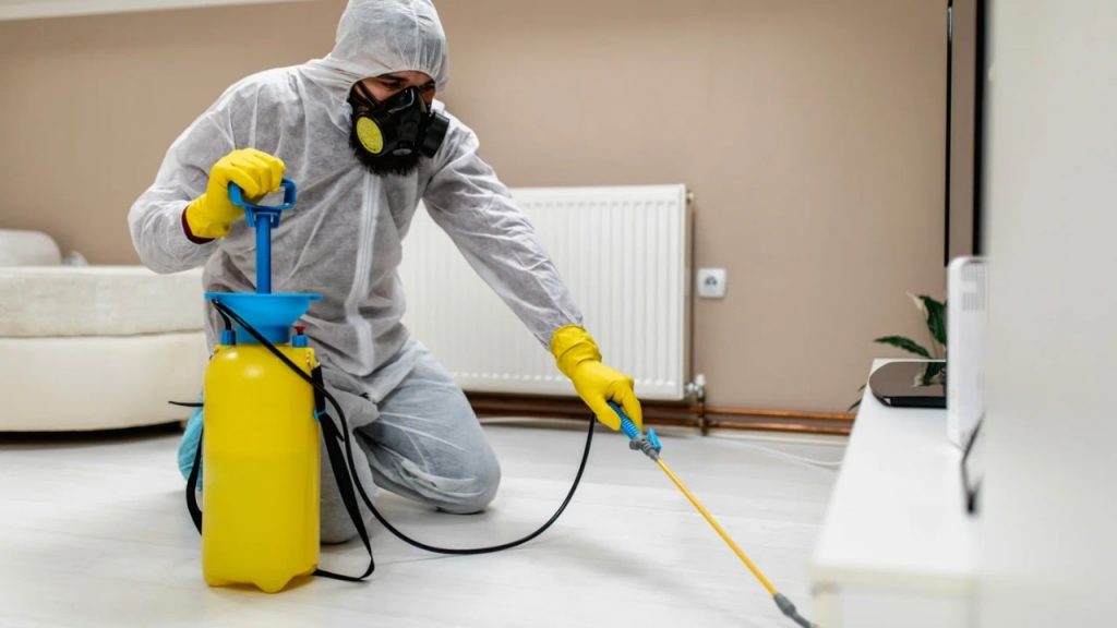 A Pest Exterminator Spraying A Home With Pesticides