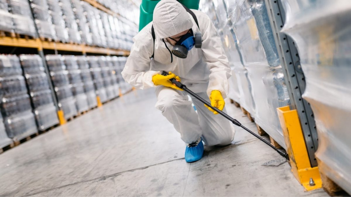 Pest & Rodent Control Services In Ontario By Pestex