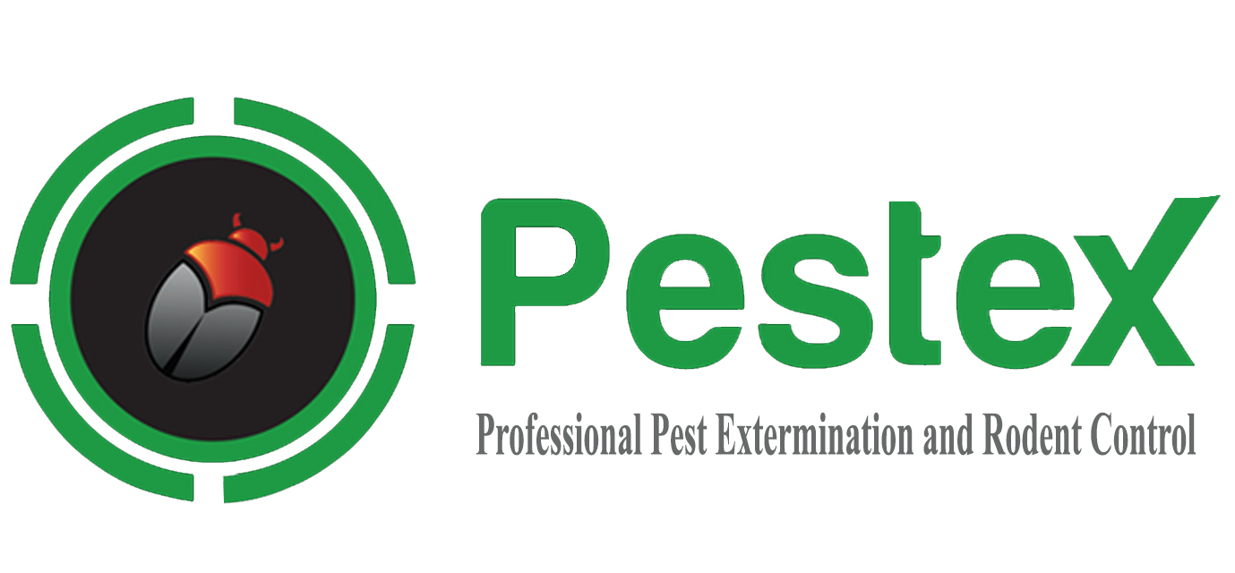 Pest Control Services in Ontario Hamilton Niagara Halton
