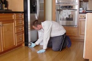Technician Inspecting Home For Bugs